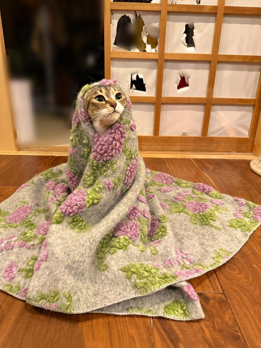 菊千代とmum (@y5_y5_san) / Posts / X