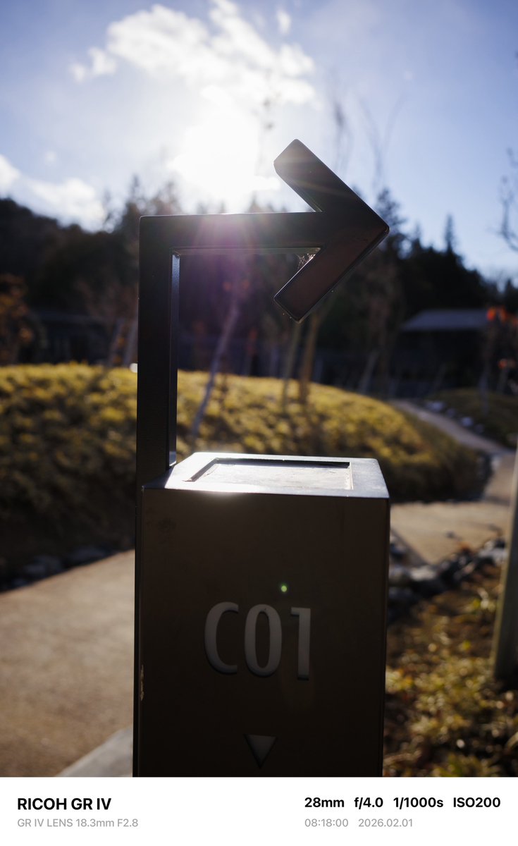 たまー卍 (@yukisanmoe) on Twitter photo 