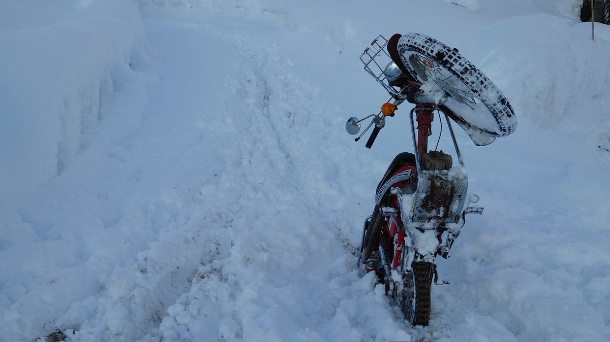 田舎男 tweet media