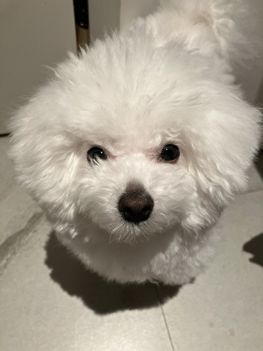 理解らない だけど愛おしい 苦しいよ、貴女を見てる「脳」が…