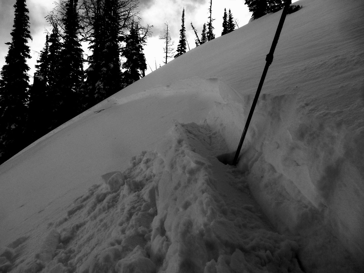 New snow will favor the southern half of the forecast area. Manage a loose dry avalanche problem if you see storm totals begin to stack up. Triggering a large avalanche on a buried weak layer remains our primary concern throughout the advisory area.