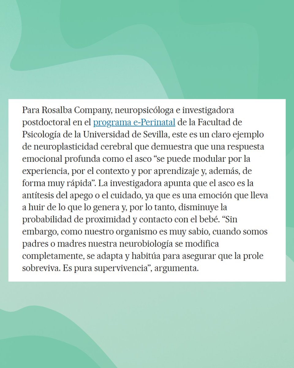 perinatalibislb's tweet photo. 💥 ¿Sabías que la crianza cambia tu cerebro?
En el artículo publicado en El País, que cuenta con la participación de nuestra investigadora Rosalba Company, se muestra que la experiencia de tener hijos modifica las respuestas emocionales.

📎 https://t.co/x9GBqLLdNm https://t.co/69Cr4auZAE