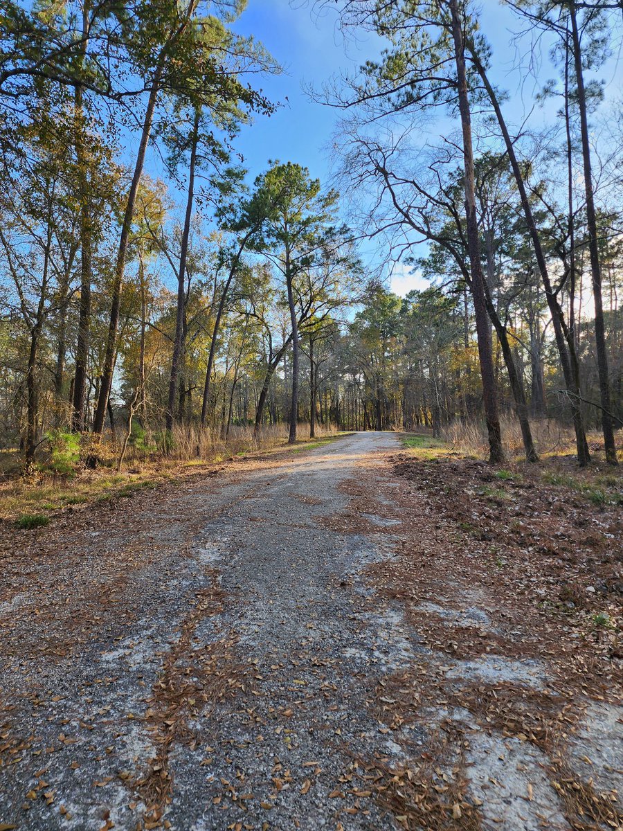 🦋 FF | MissKrisalys 🦋 ➡️ Texas Showdown 2026 tweet media