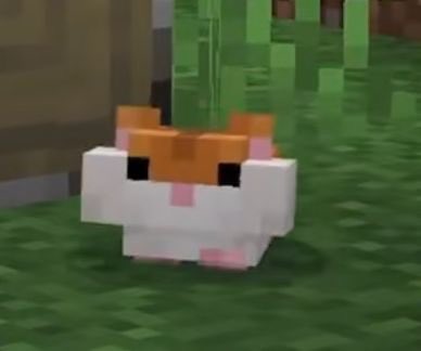 어떡함..? 이희승이 이제 막 이정도로 보임..