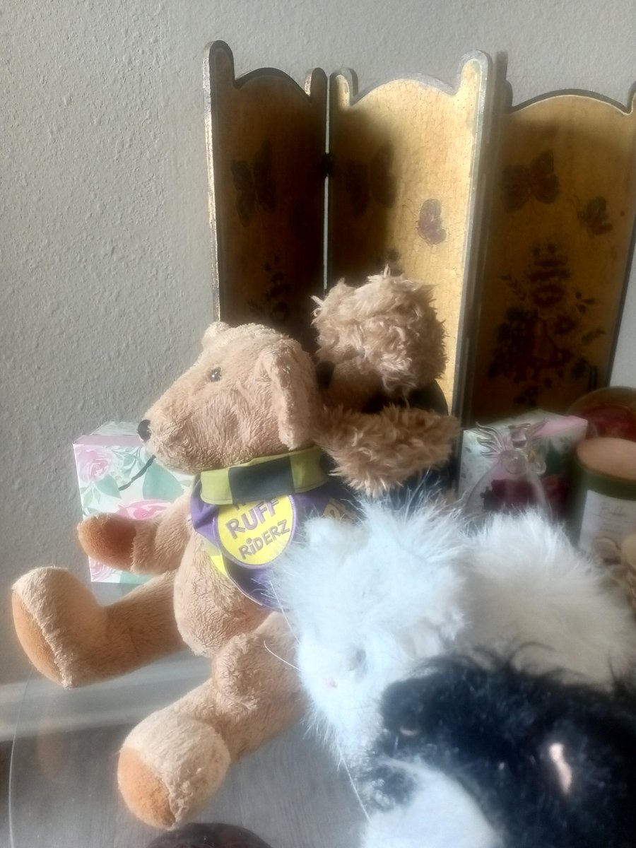 BogartSmith3's tweet image. I have a friend visiting and he is learning how to hunt zombies.. I am starting the training from a safe distance here is telling me he sees one(it's a 🐦🫣) my yard and area is secure Raaaraaa #ZSHQ #teddybear