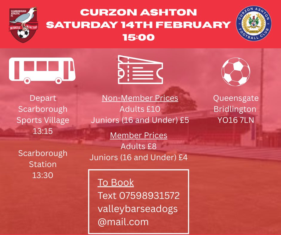 Valley Bar Seadogs tweet media