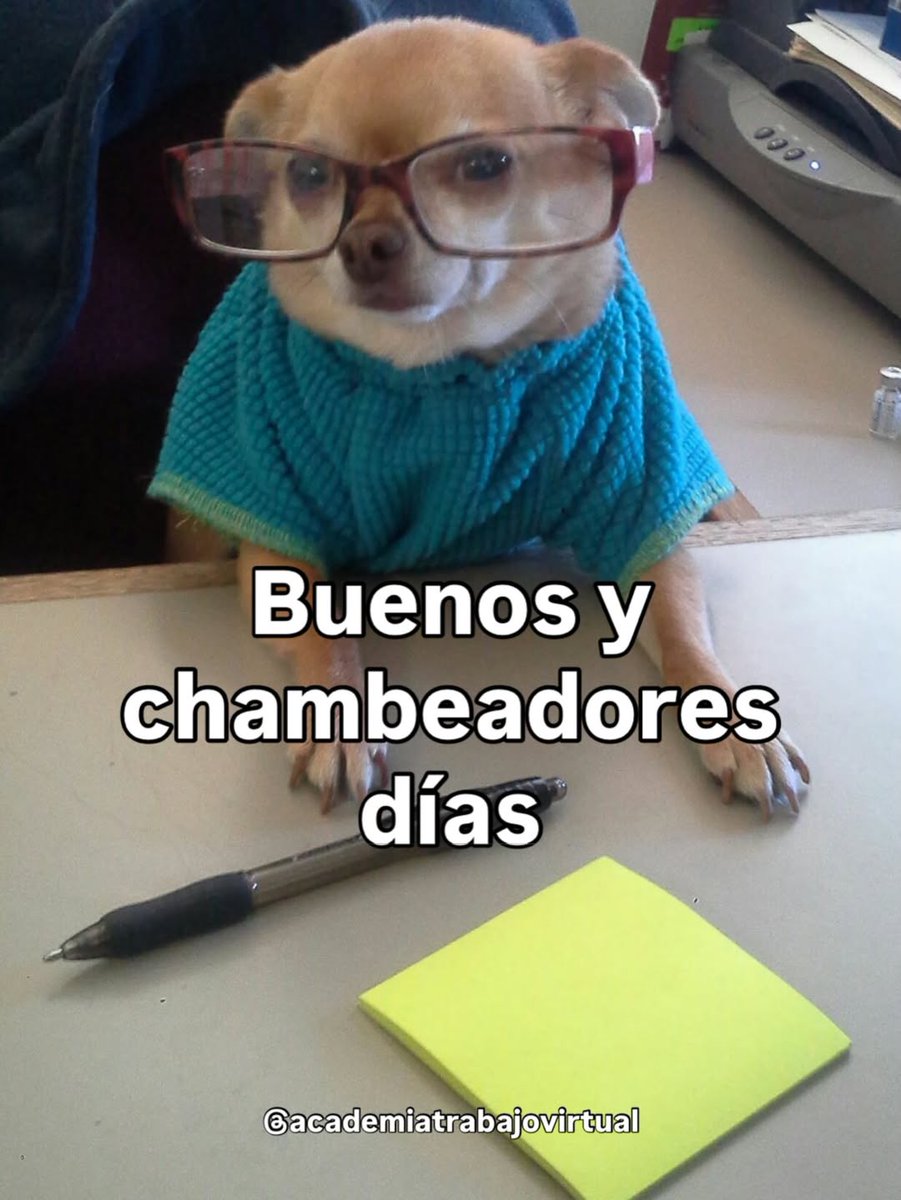 Johanna Juha | Academia de Trabajo Virtual tweet media