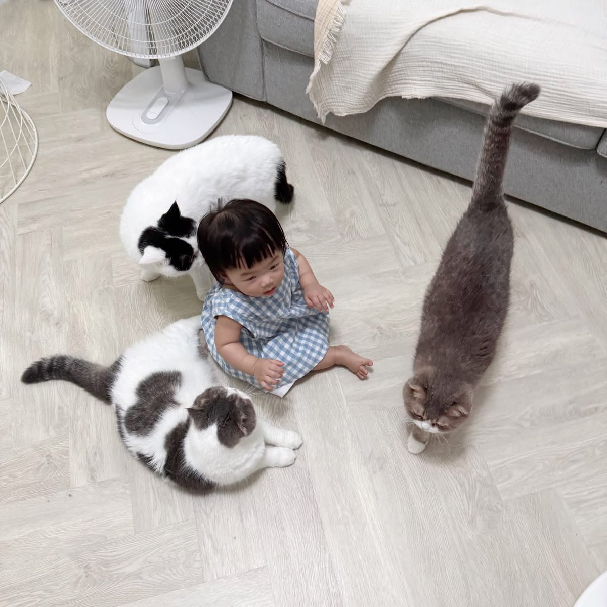 HUAHOM MEAWGOH tweet media