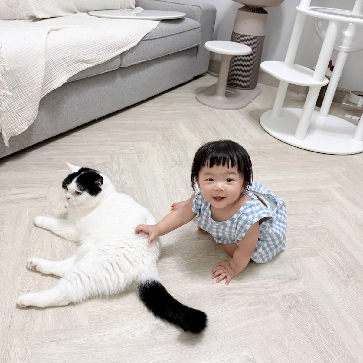 สอนน้องเดินสี่ขาแล้ว ไม่ใช่แมวตรงไหนพูด