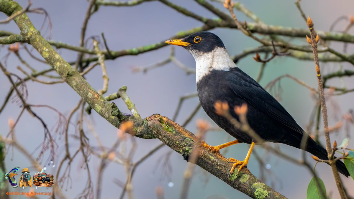 Mohit Mehta tweet media