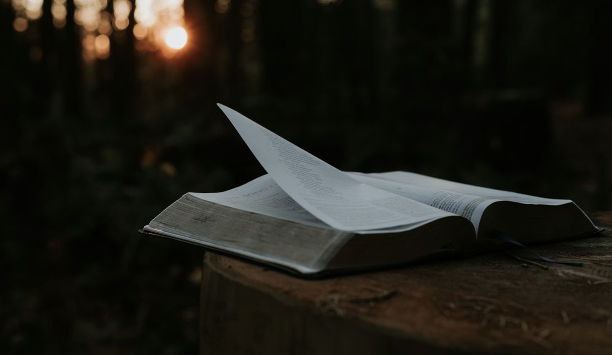 PDaveWilliams's tweet photo. In these last days, deception is rising fast—clouding truth in politics, culture, and even the Church. Smooth voices push false doctrine. Confusion spreads. - https://t.co/RpeKJjWrCa https://t.co/qulpcKi3nS