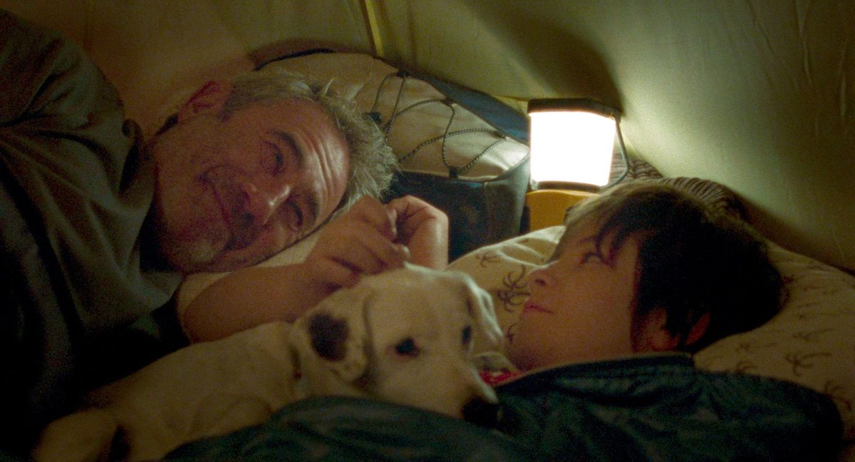 아니 시라트는 잘만들고 못만들고의 차원 너머에 있는 영화임 감독이 잠깐 신이랑 접신한거 아닐까? 영화관에서 나오는 순간부터 내가 걷고 있는 모든 걸음이 시라트처럼 느껴짐… 영화 후반부의 ‘지금까지는 어떻게 괜찮았던거지?’ 라는 질문이 모든 걸 관통함