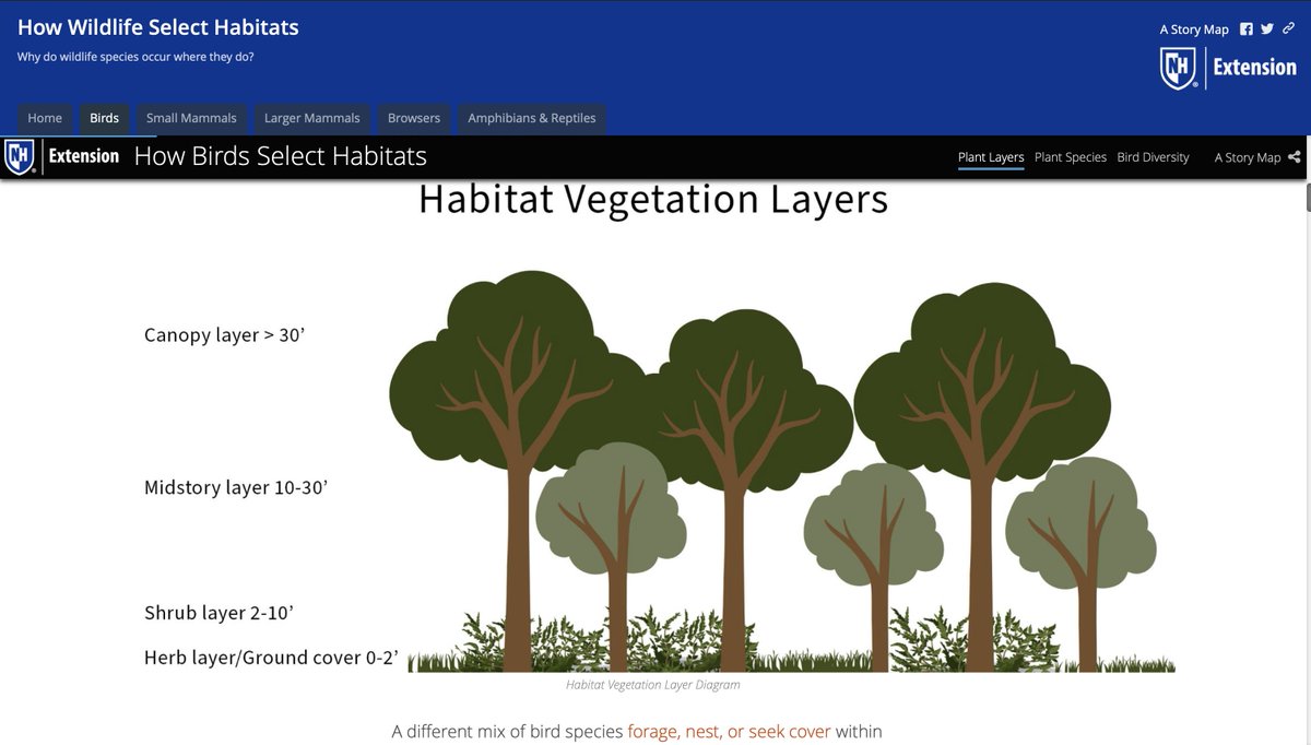 Shane Bradt tweet media