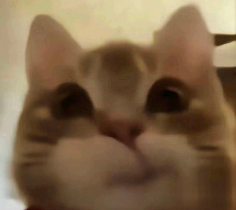 emptybrita's tweet image. got stuck at the dude-bro table at work lunch last week and they wouldn’t stop talking about which AI is their favorite