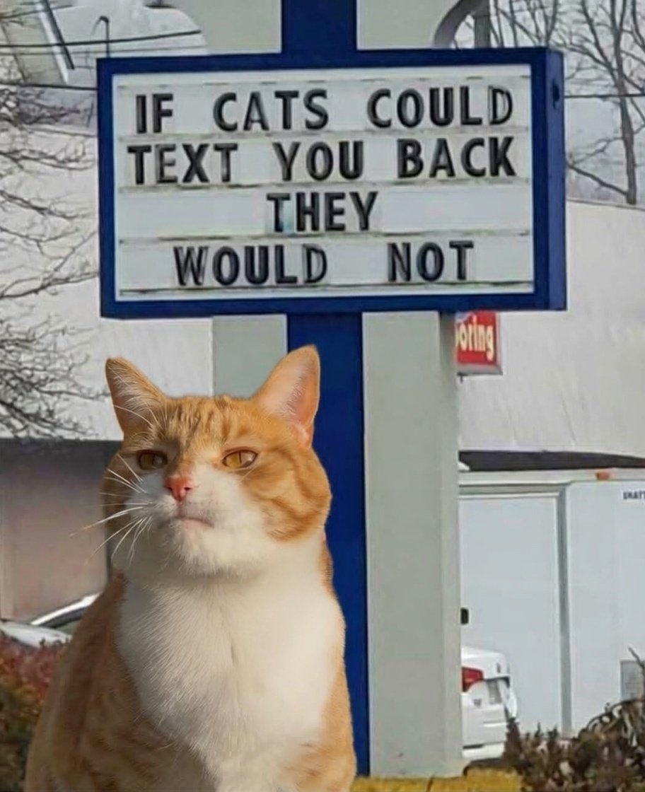 PlanetOfMemes's tweet photo. Cats can be real jerks. https://t.co/7J8jmlulPA