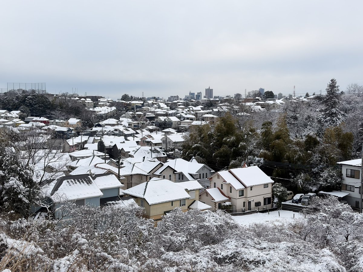しんたま@大正東京マップ tweet media