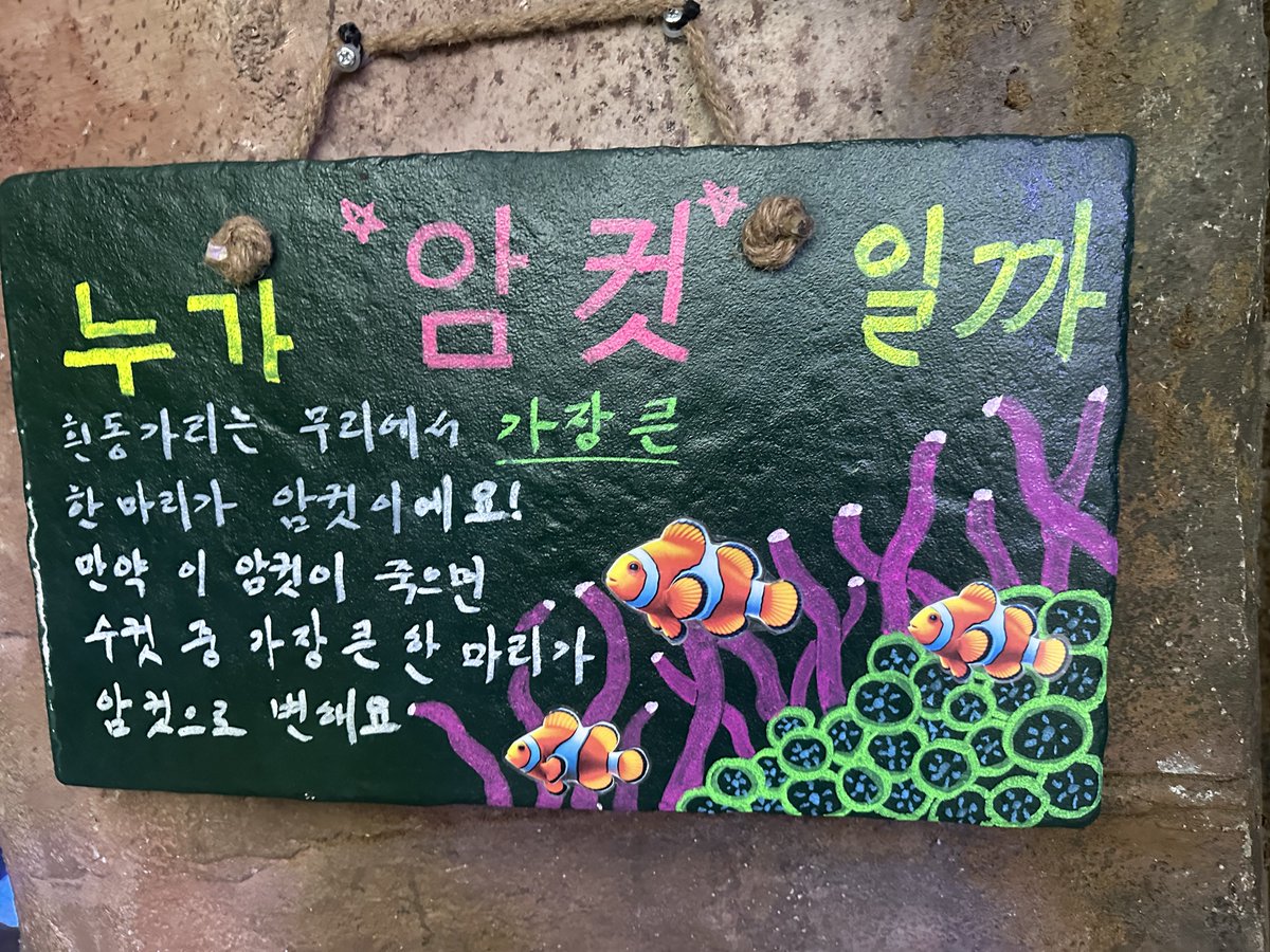 어제는 가족들과 국립생태원에 갔어요
국내에 유일하게 젠투펭귄과 턱끈펭귄을 데리고 있는 곳이라고 해서
근데 이런거봄 흰동가리 뇨타화사건