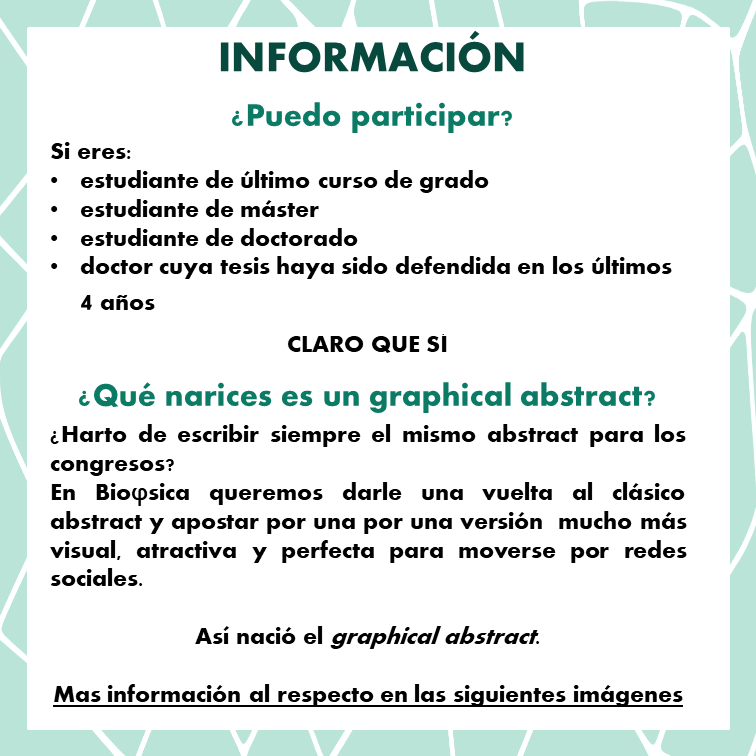 Jóvenes Investigadores SBE tweet media