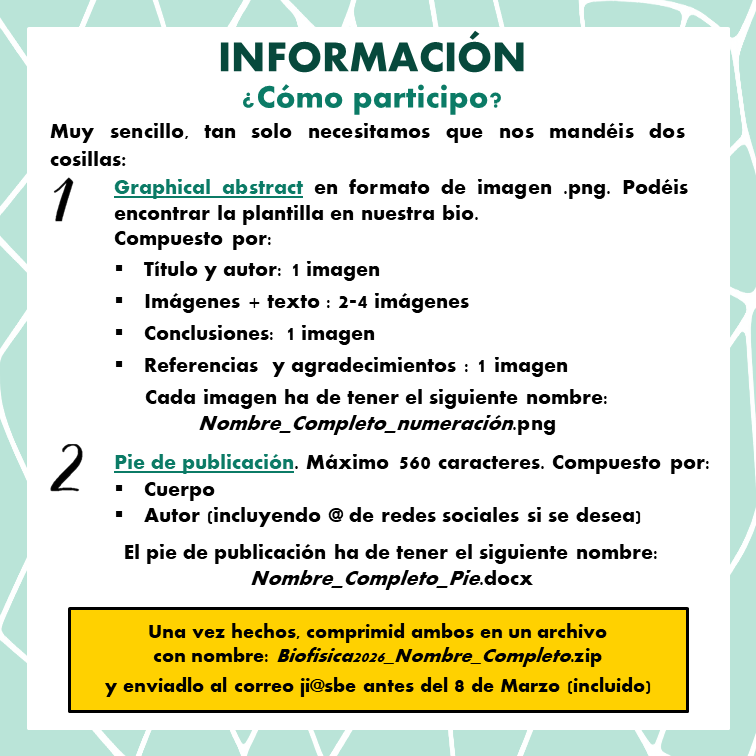 Jóvenes Investigadores SBE tweet media