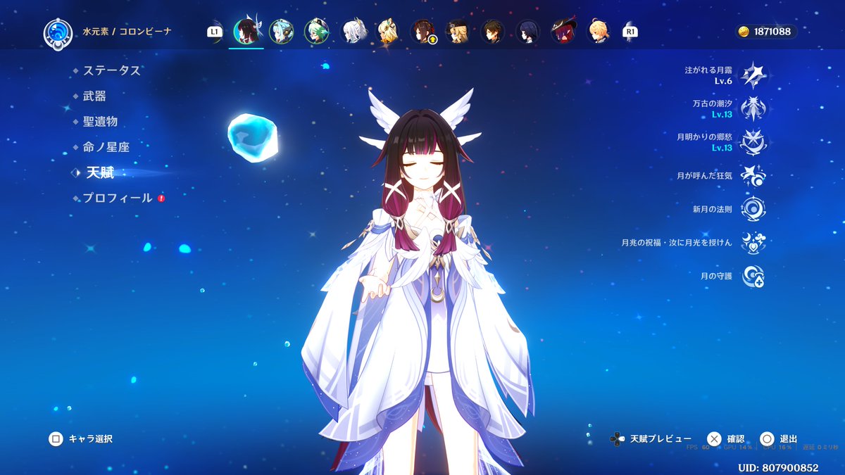 とりあえずここまで育てた