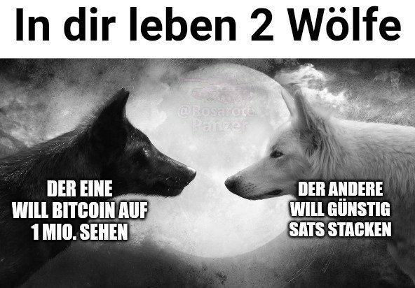 Der rosarote Panzer (@rosarotepanzer) on Twitter photo 