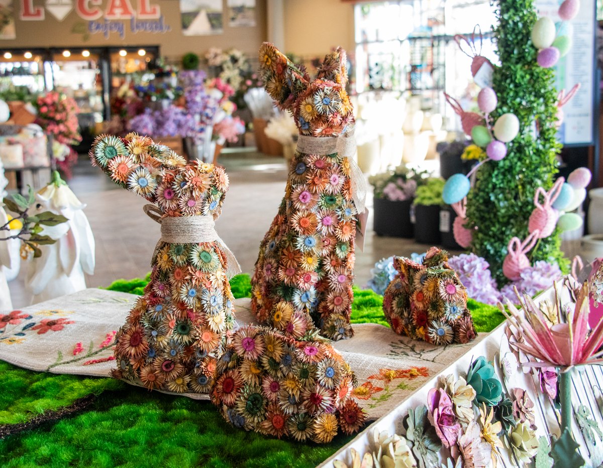 LanohaNurseries's tweet photo. Planning ahead for Easter fun? We’ve got fresh décor and spring charm waiting for you! Early Easter shoppers always get the best picks! Shop Lanoha's Garden Center for your favorites today.
#EasterDecorIdeas #SpringVibes #HomeDecorLove #SeasonalFun #EasterVibes #shoplocal https://t.co/8LazLdkvA5
