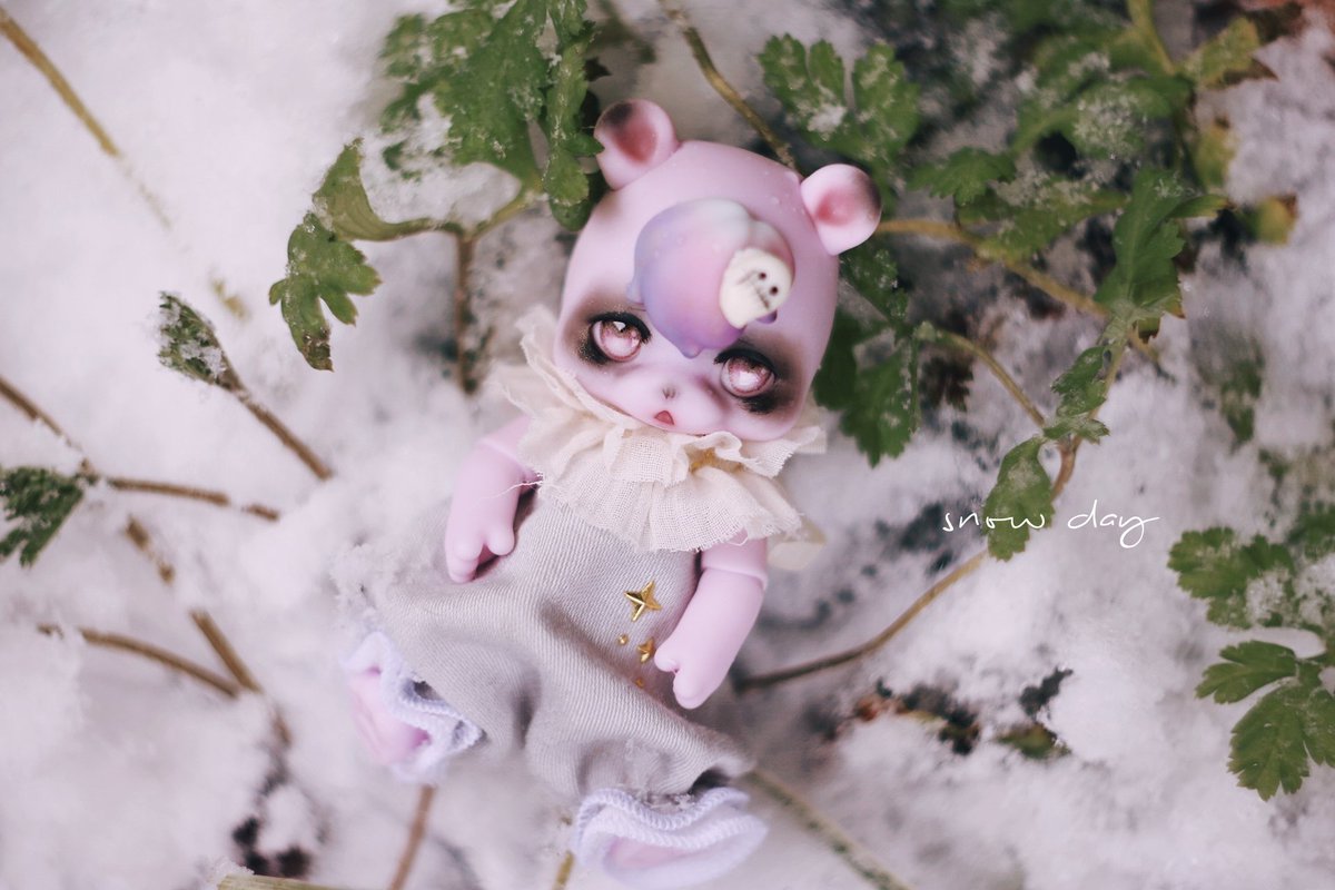 雪にとりのこされこぐまʕ•ᴥ•ʔ
#kumukuku