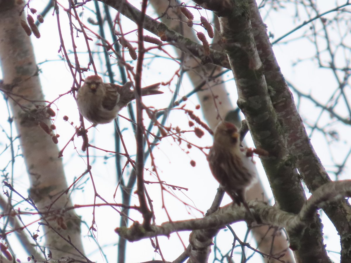 John Hayward tweet media