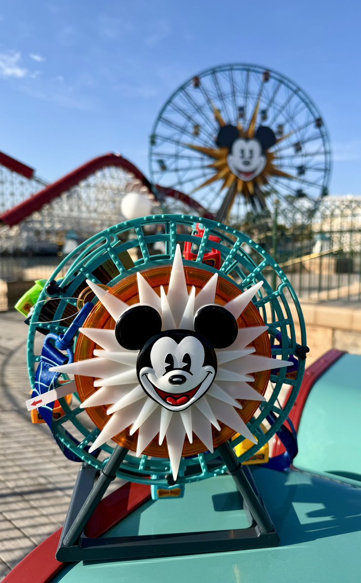 °o° Tara °o° tweet media