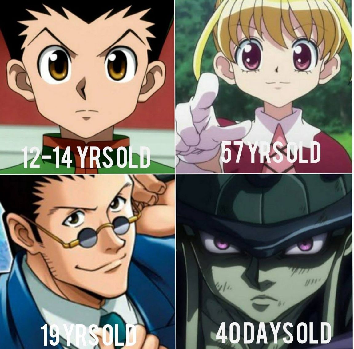 HxHperfectshot's tweet image. Hunter x Hunter logic be like :