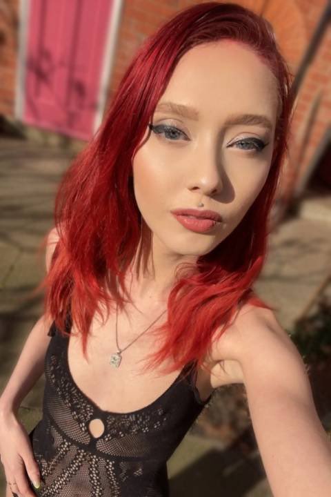 Dolphin Parties tweet media