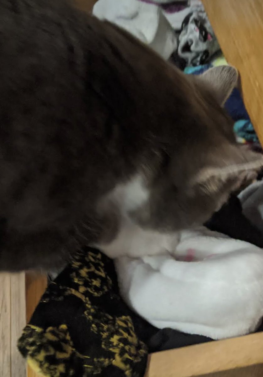 Bean (and Mara) tweet media