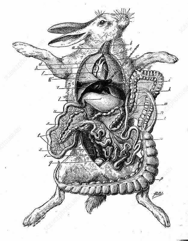 𝘓𝘶𝘭𝘪𝘵𝘢 tweet media