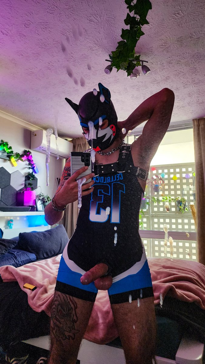 Puppy Sho tweet media