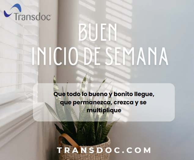transdoctrabajos tweet media