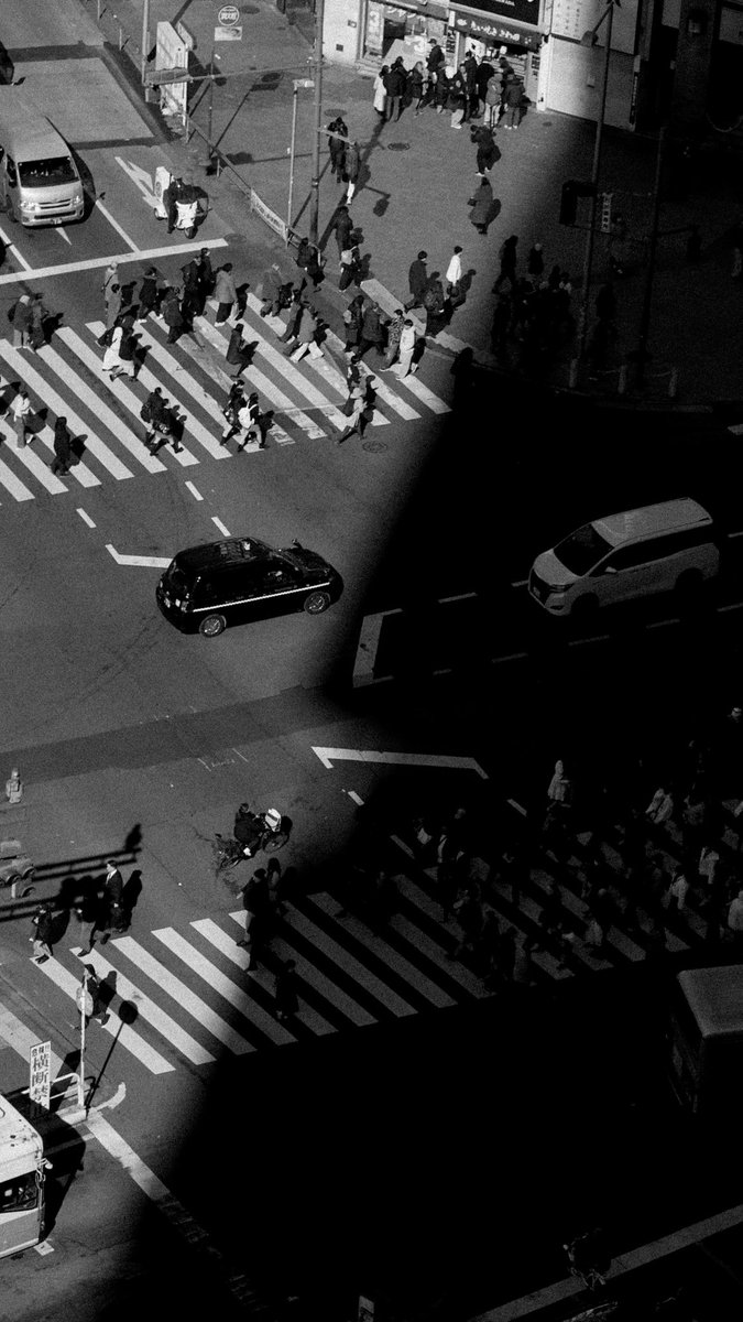 Sandro Compagnon tweet media