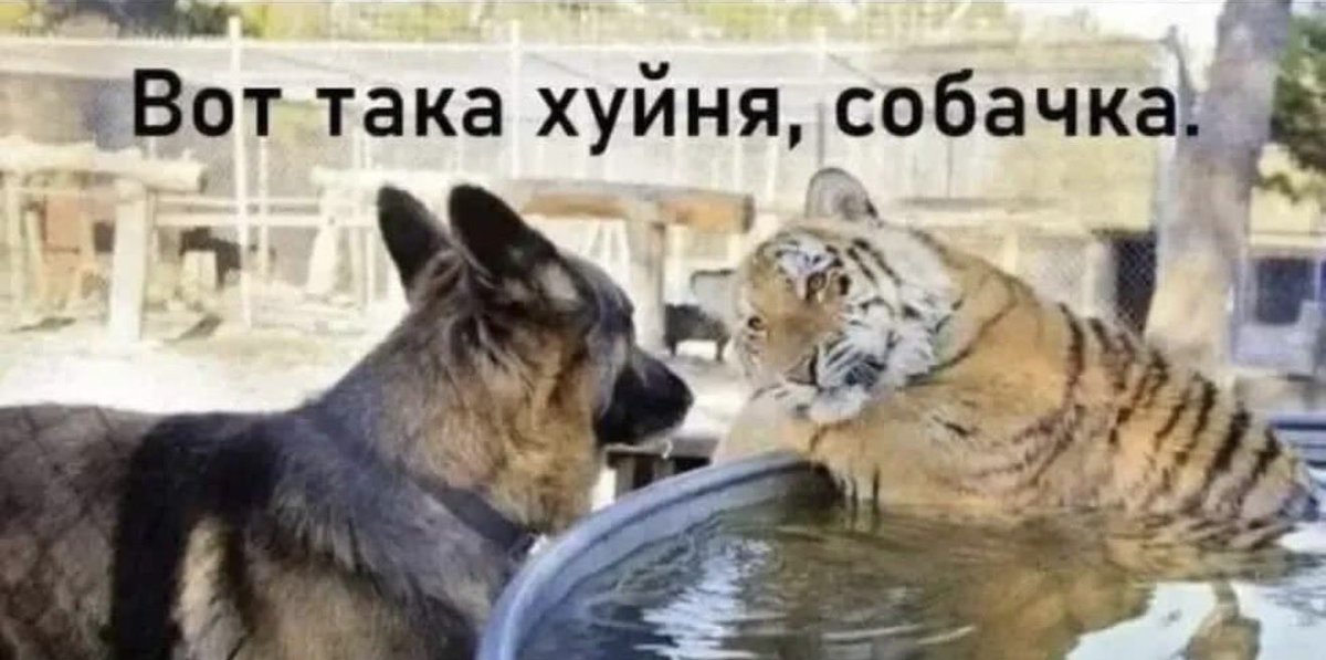 Андрій Чунь (@andriychun) on Twitter photo 