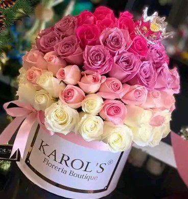 rgaytanad's tweet photo. Felicidades Carol @Singularxp !!! lo mejor hoy y siempre, Dios te bendice, un abrazo. https://t.co/4S0FvwL3GE