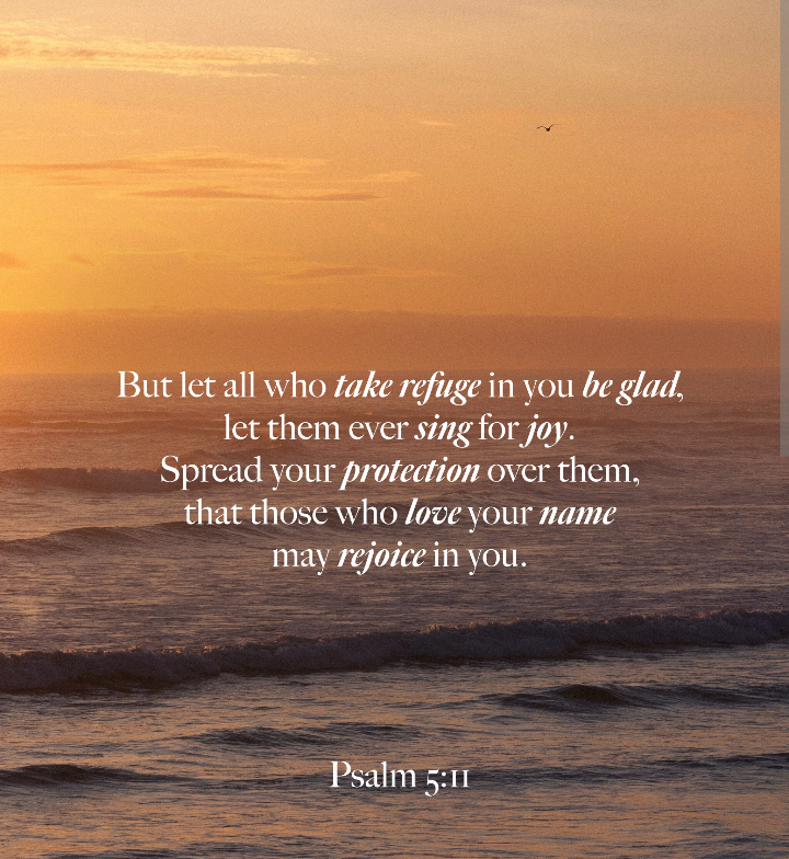 Katherine Albrecht (@dr_k_albrecht) on Twitter photo 