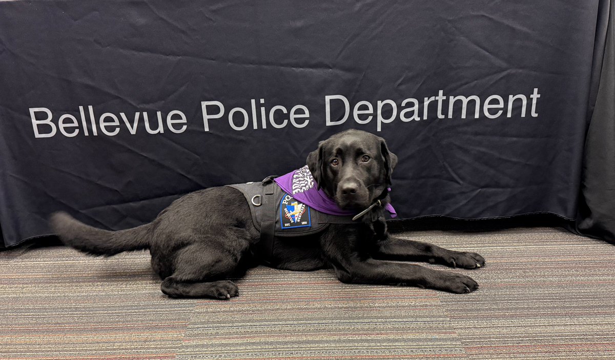 Bellevue Nebraska Police Department Recruitment tweet media