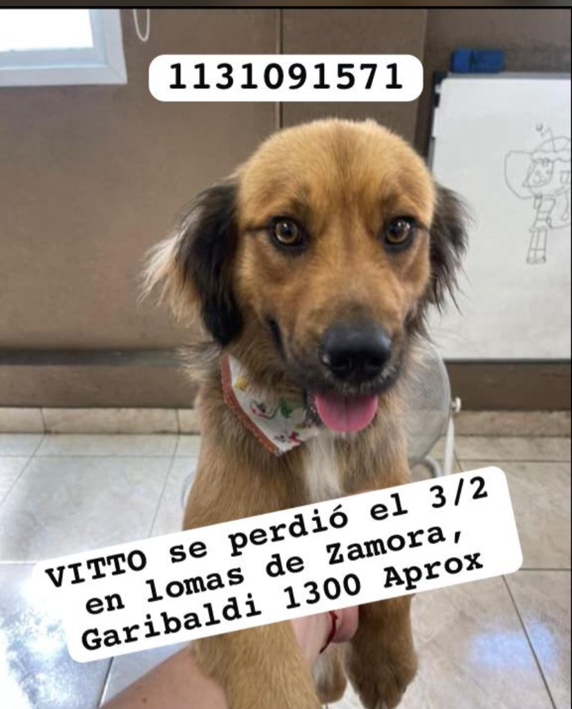 patripeyrou's tweet image. Difundimos 
Rt
Recompensa