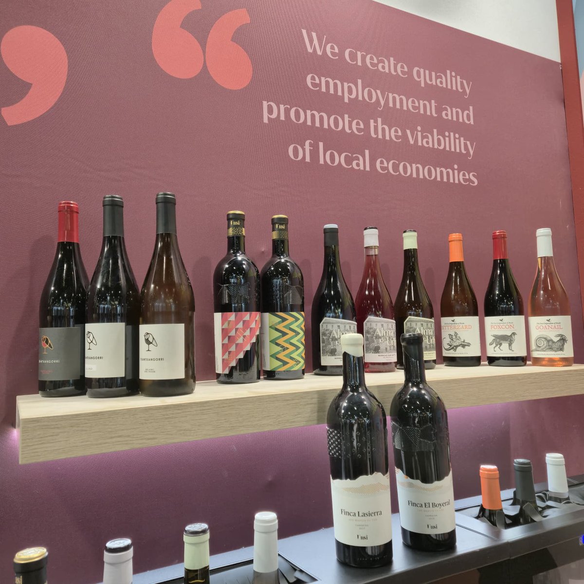 Anecoop Bodegas tweet media