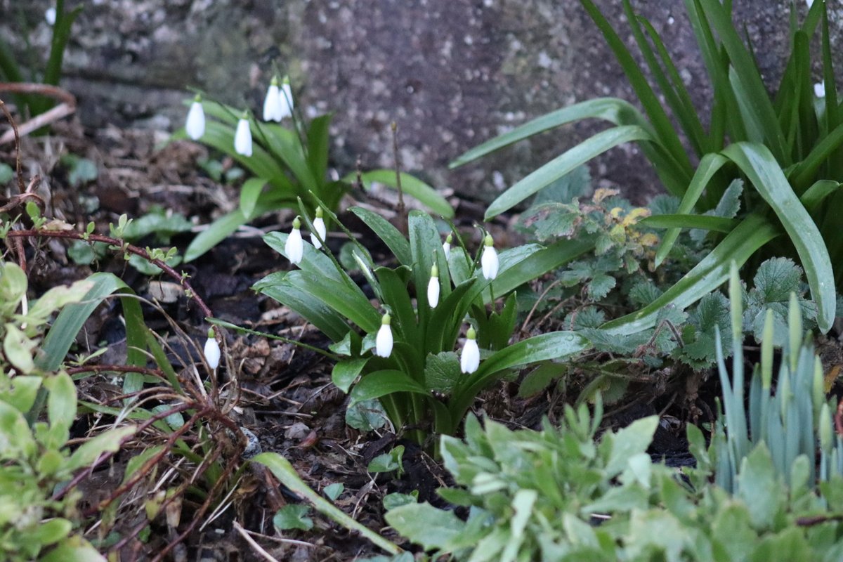 BDuffma's tweet image. #Clare #Burren #100daysofwalking 🟡🔵🖤🤍💚💛  ⚪️⚫️