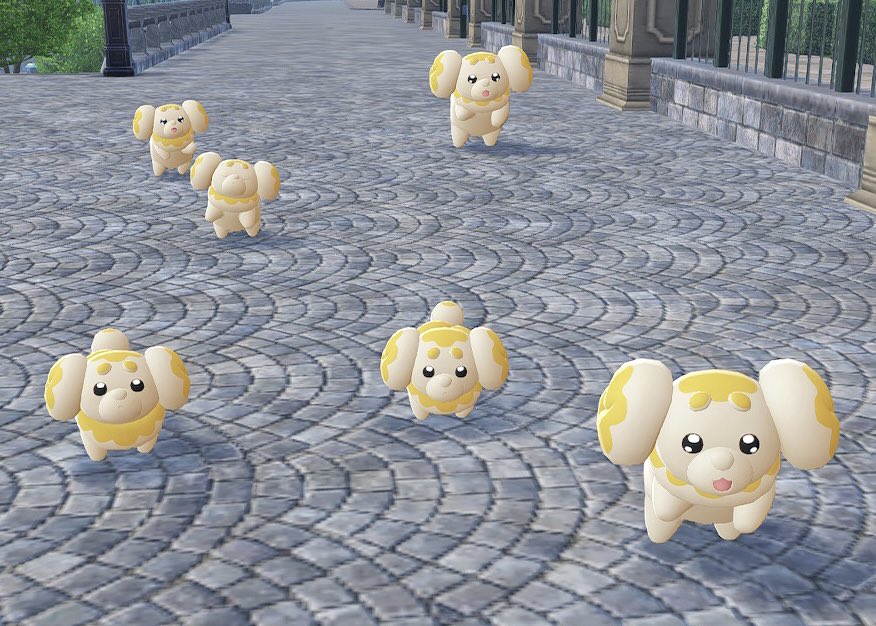 XS・S・M・L・XL・オヤブンのパピモッチ揃った！