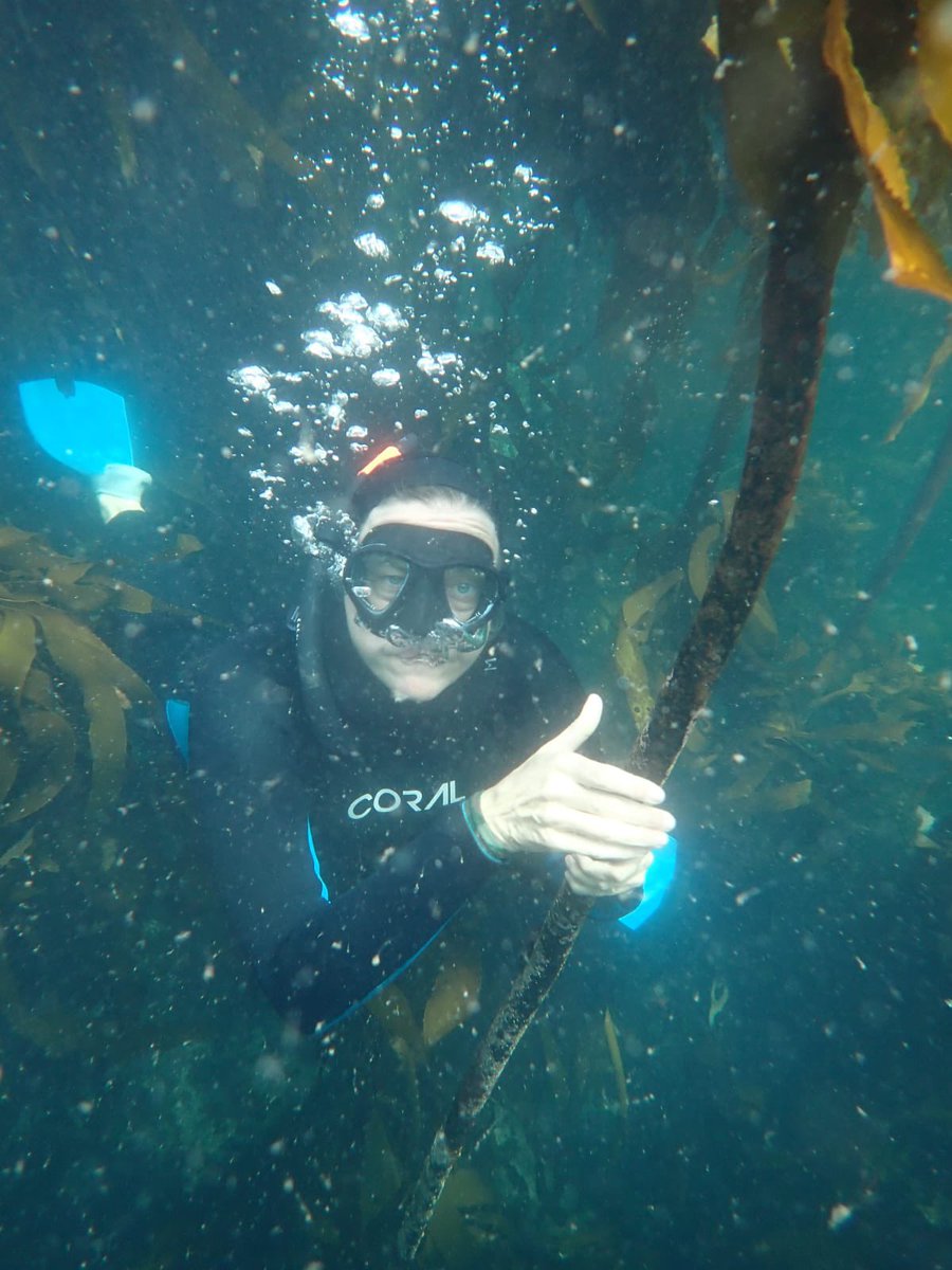 Vindigo Travel - Melissa Sutherland tweet media