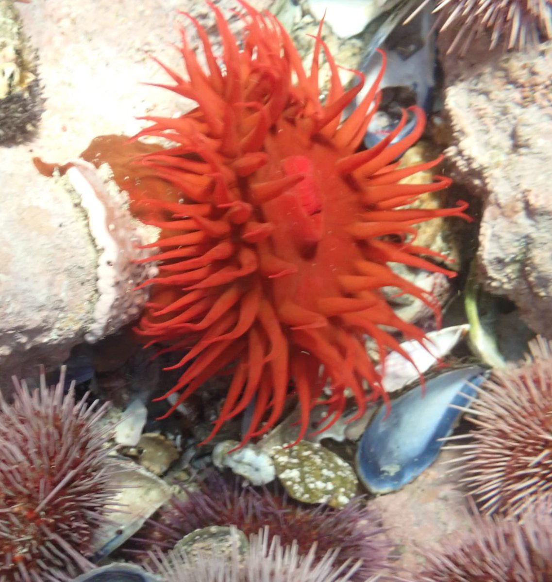 Vindigo Travel - Melissa Sutherland tweet media