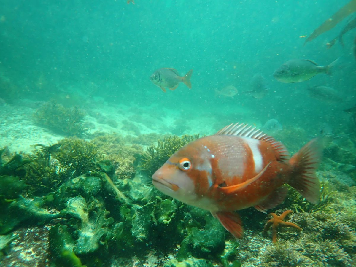 Vindigo Travel - Melissa Sutherland tweet media