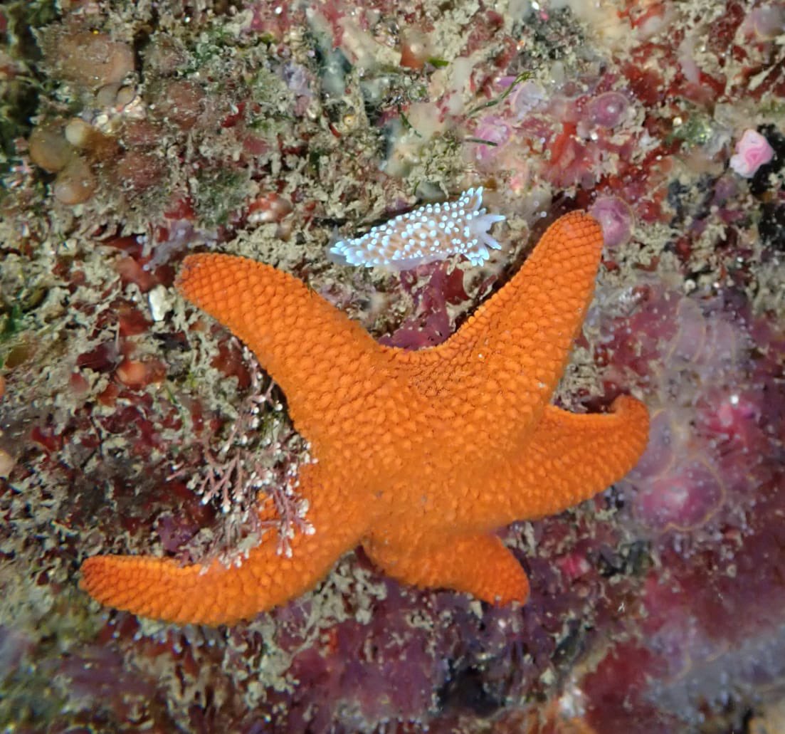 Vindigo Travel - Melissa Sutherland tweet media