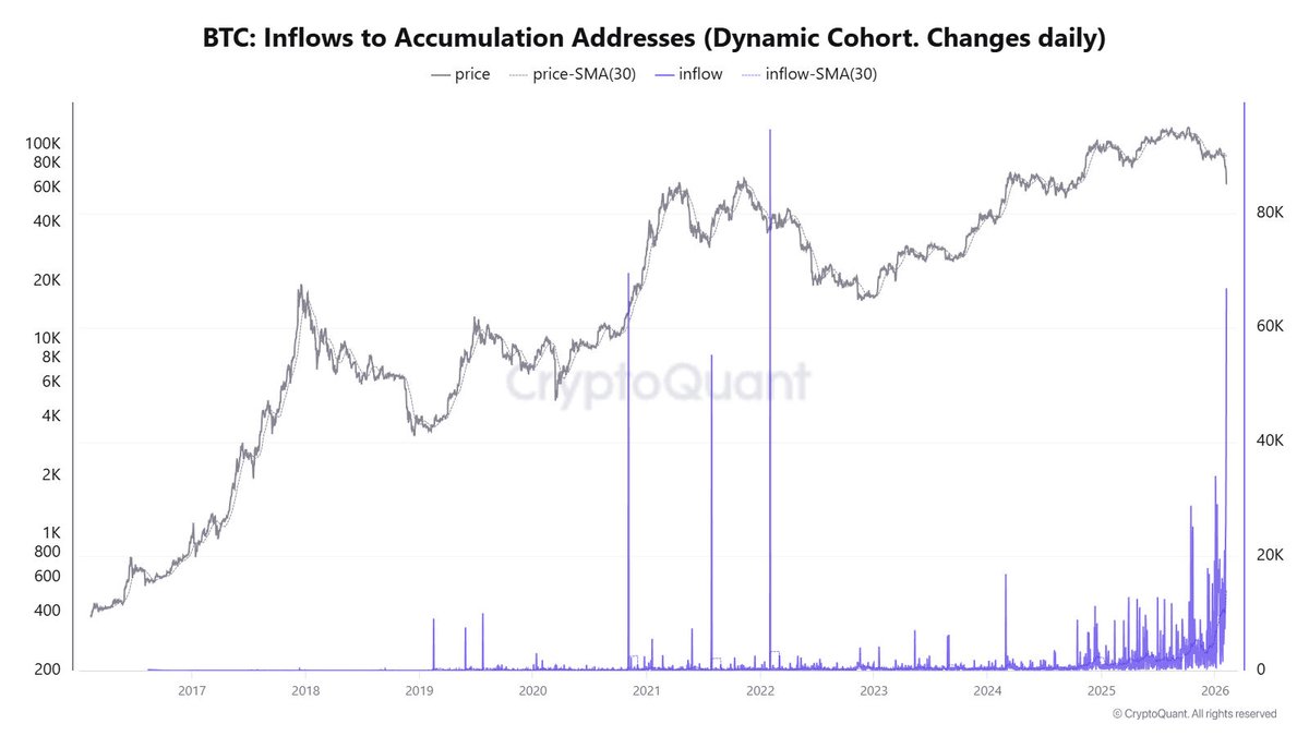📊 BIG: On Feb. 6, 66.94K BTC flowed into accumulator addresses, the largest inflow this cycle.

Whales bought the dip during the recent drop, per CryptoQuant.