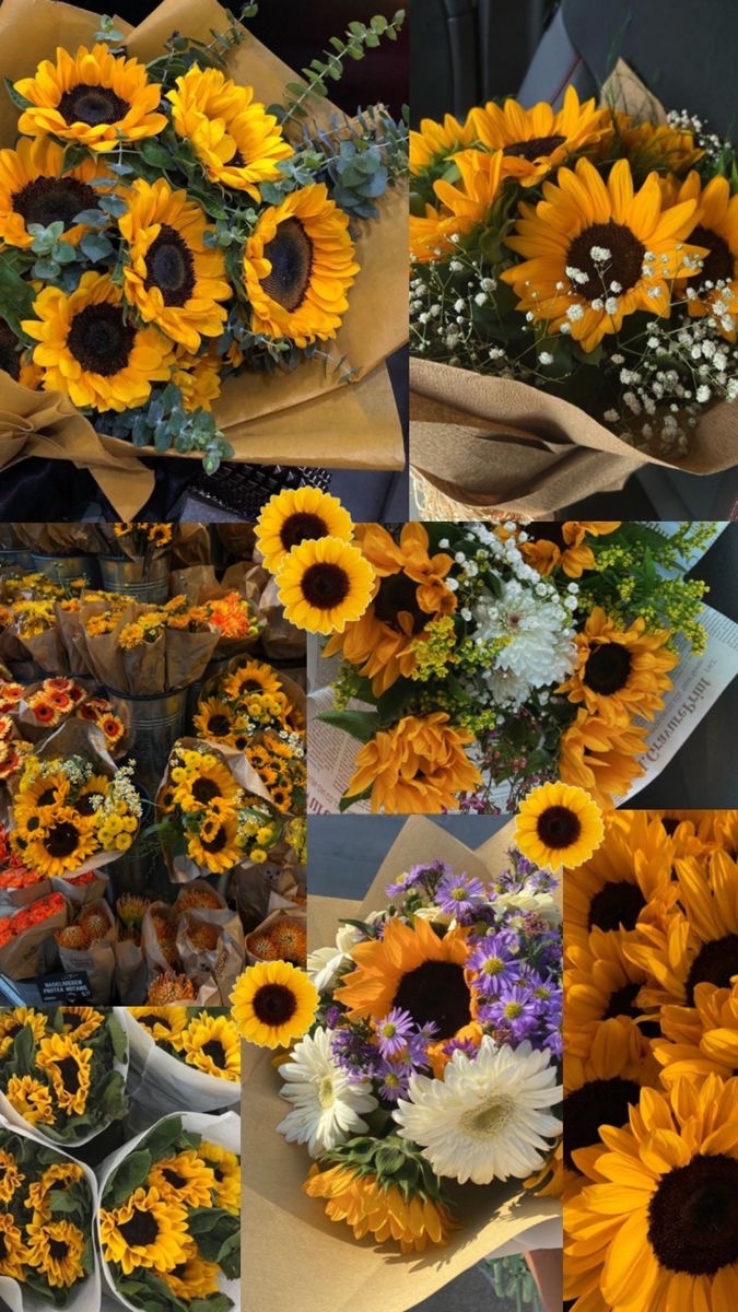 sunflowerchives's tweet image. Bloom season🌻